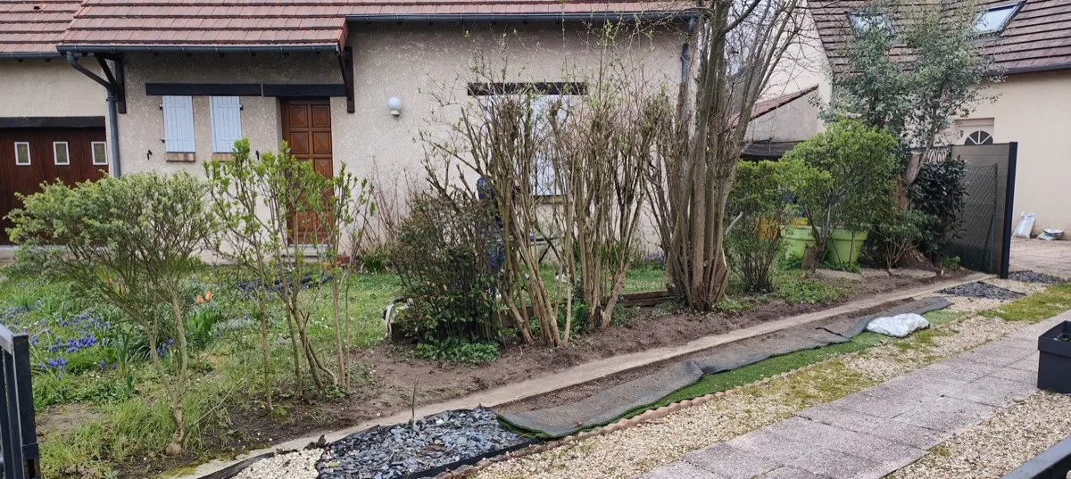 Jardin de devant après taille des arbustes et remise en ordre des massifs